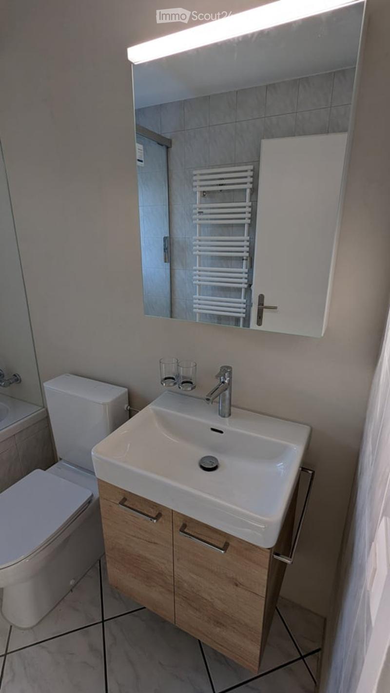 Modern bathroom with a white sink, wooden cabinet, toilet, and a large mirror above the sink. A radiator is visible in the background.