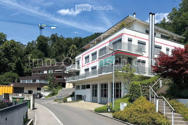 Modern two-story house with white exterior, large windows, balconies, and a flat roof. The house is surrounded by greenery and has a raised ground floor with a staircase leading up to the main entrance.