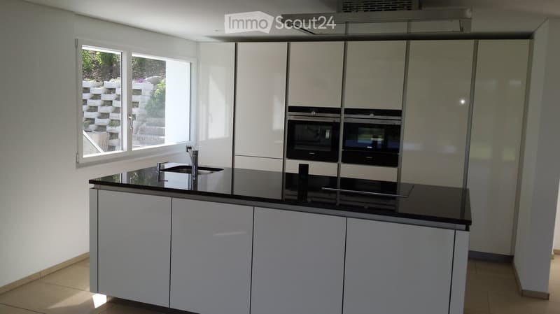 Modern kitchen with white cabinets, black countertop, stainless steel sink, and built-in ovens.