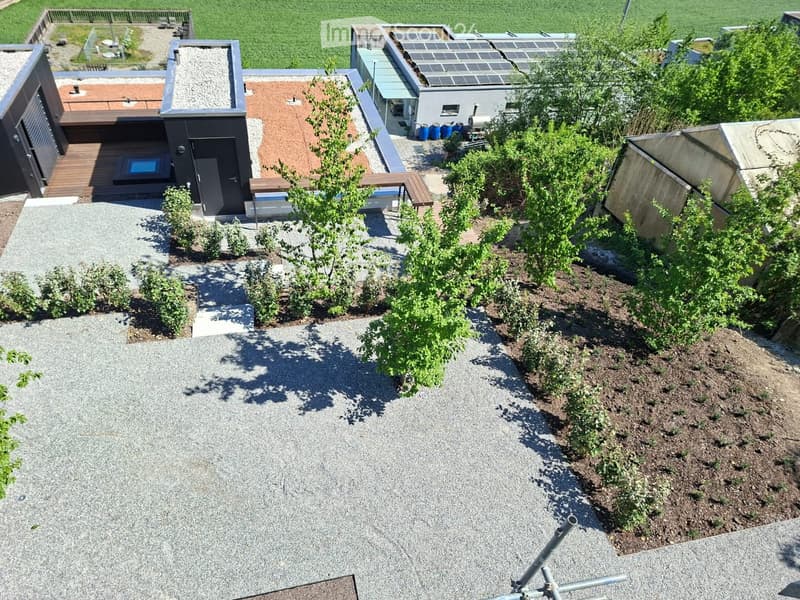 A rooftop garden with gravel pathways, small trees, shrubs, and a wooden deck area with a bench and a small table.