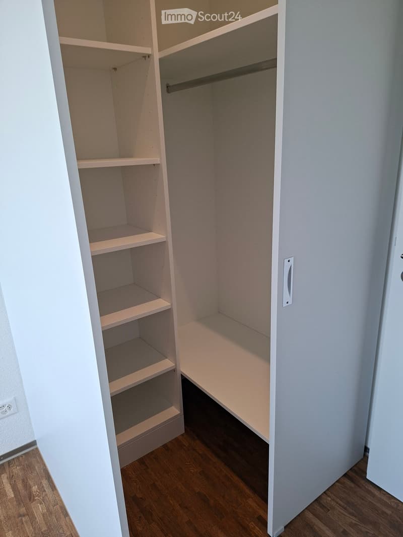 Empty closet with built-in shelves and a hanging rod, featuring light-colored wood and white walls.