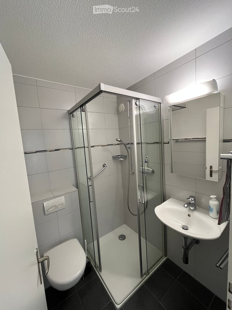 Modern bathroom with a glass-enclosed shower, toilet, sink, and mirror. Features tiled walls and a dark tiled floor.