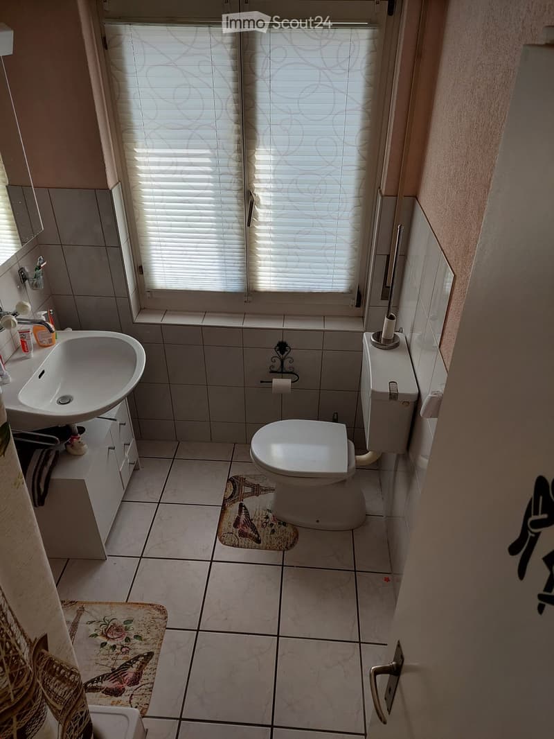 A small bathroom with a white sink, toilet, and mirror. The floor is tiled, and there are two decorative rugs in front of the toilet and sink.