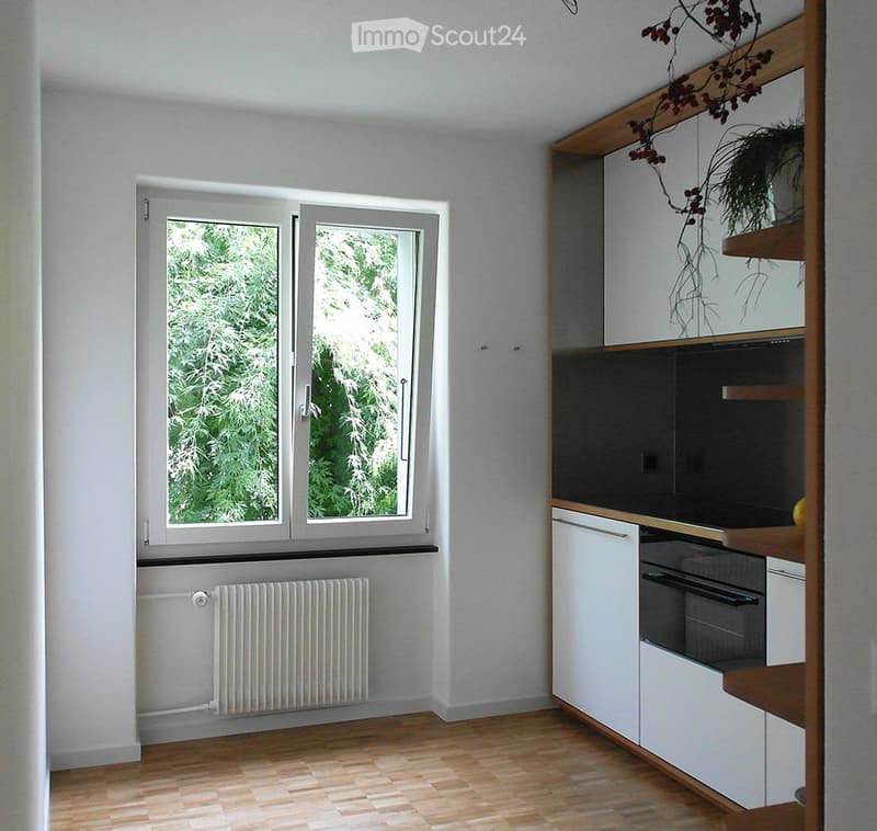 {"visible_features": [], "type": "Room", "description": "modern kitchen, white walls, white cabinets, glass window, wooden floor, heating unit"}