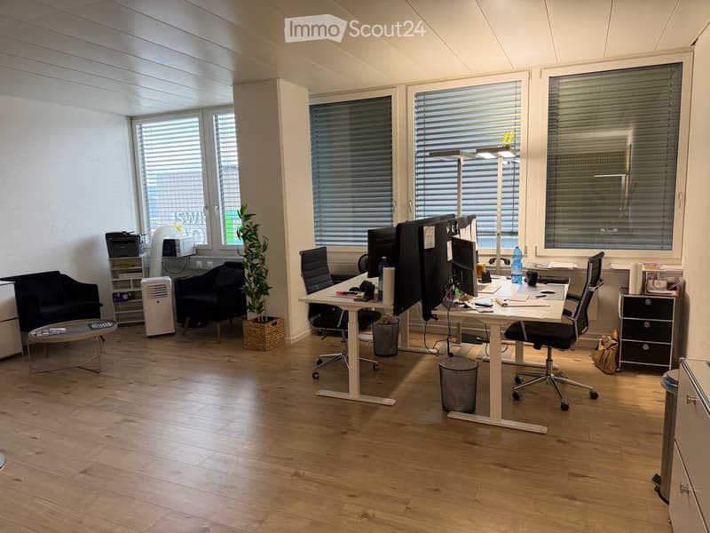 Office space with wooden flooring, large windows, office desk with chairs, two screens, sofa, plant, printer, and storage cabinet.