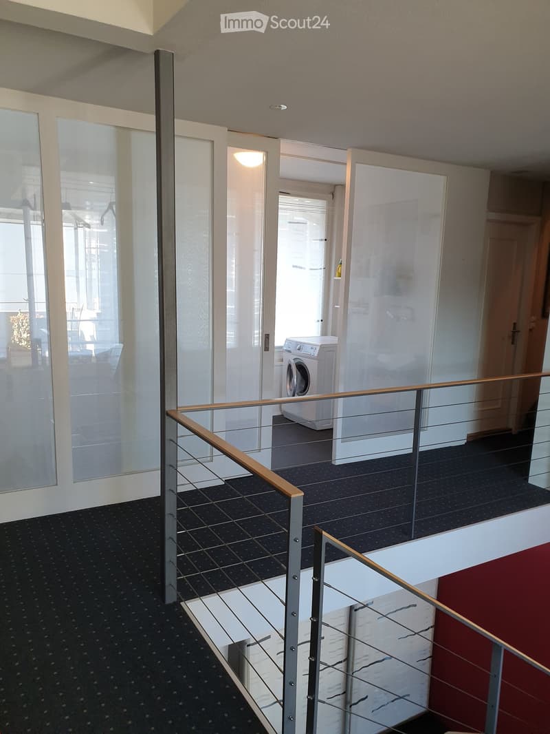 Modern hallway with glass walls, metal railing, and a washing machine visible in the adjacent room.
