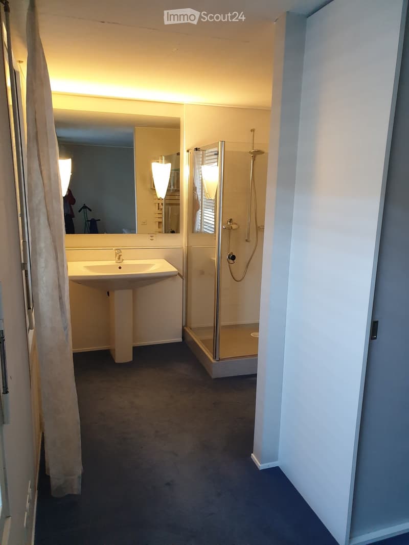 Modern bathroom with a sink, large mirror, and glass-enclosed shower. The space features light-colored walls and a dark carpeted floor.