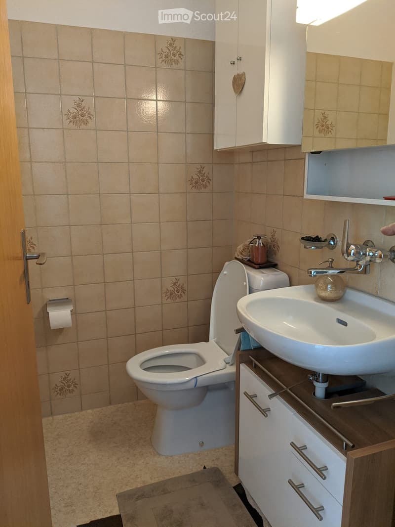 Bathroom with beige tiled walls, a toilet, a sink with a modern faucet, a wooden cabinet, and a mirror above the sink. A towel and soap dispenser are placed on the sink counter.