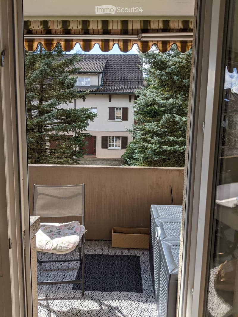 Balcony with a chair, cushion, and flower box, overlooking a residential area with trees and a house.