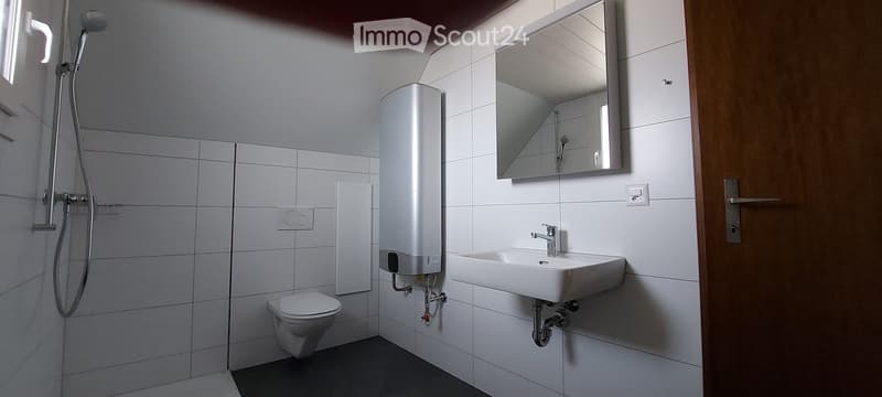 Modern bathroom with white tiles, a toilet, a sink, a mirror, a shower, and a water heater.