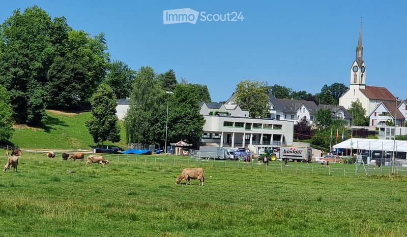 A rural scene with cows grazing in a green field, surrounded by trees and a small town with houses and a church in the background.
