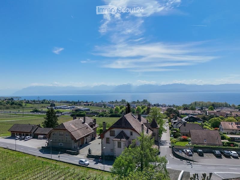 Aerial view of a small town with houses, vineyards, and a lake in the background.