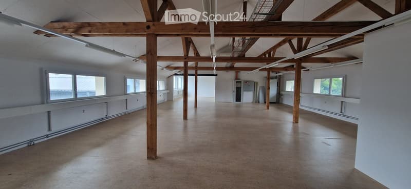 Large, open, unfurnished room with exposed wooden beams and concrete floor. Natural light from multiple windows on one side, white walls, and minimal structural elements.