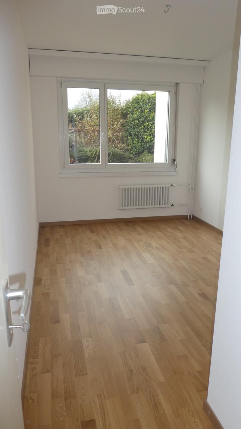 Hardwood floors, white walls, large window overlooking trees, central heating radiator