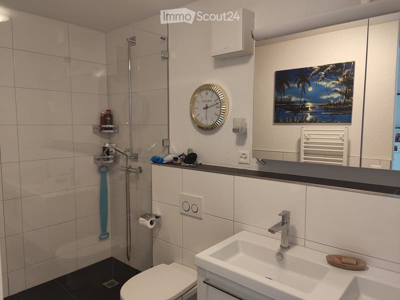 Modern bathroom with a white sink, chrome faucet, toilet, shower, mirror, and a decorative clock. Includes a towel rack, toiletries, and a scenic picture on the wall.