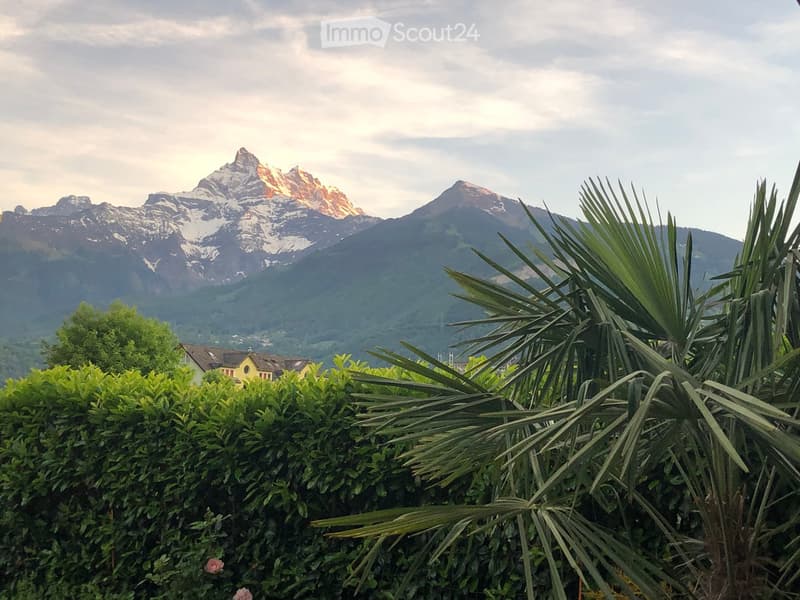 A garden area with trimmed bushes and palm-like plants, overlooking a scenic mountain range with snow-capped peaks.