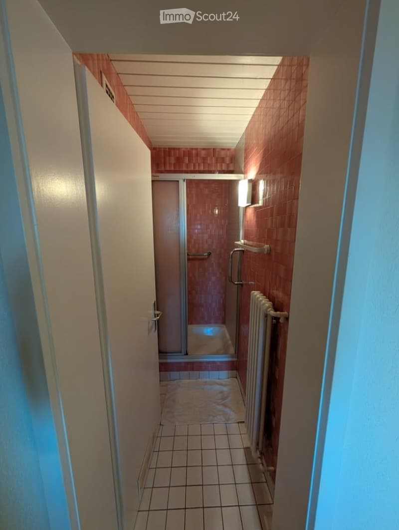 A narrow hallway with tiled flooring, a radiator on the right side, and a small rug in the center. The hallway leads to a room with a shower and a door.
