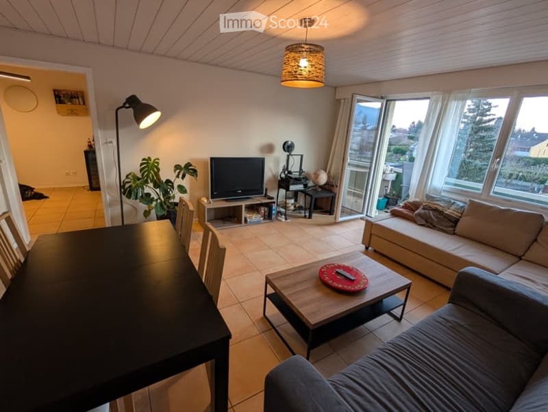 Bright living room with large windows offering a view, featuring a sofa, coffee table, TV, dining table, chairs, floor lamp, and a plant.