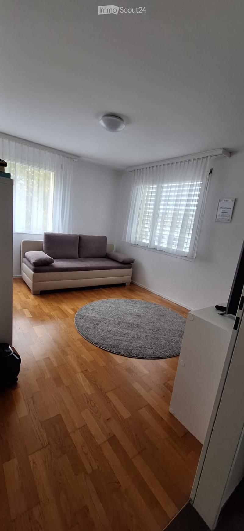 A modern living room with light wooden flooring, a grey sofa, and a round grey rug. The room features large windows with white blinds and a ceiling light fixture.