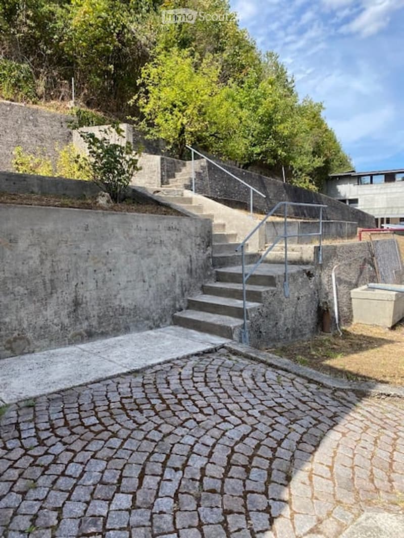 A raised outdoor area with concrete steps leading up to a higher level, surrounded by greenery and a curved cobblestone pathway.