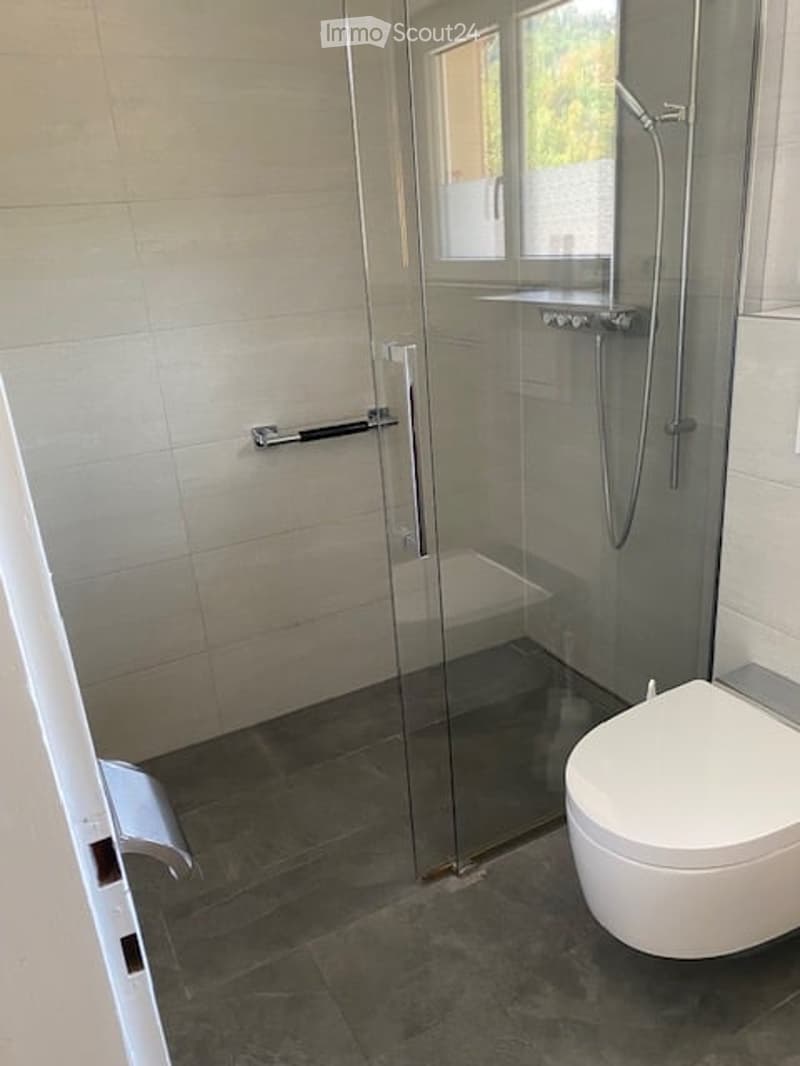 Modern bathroom with a white toilet, glass shower enclosure, and dark tiled floor.