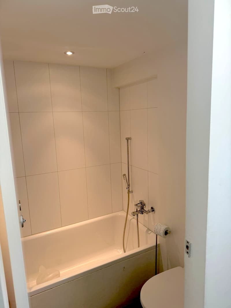 Modern bathroom with white tiled walls, a bathtub, a toilet, and a showerhead with a handheld sprayer.