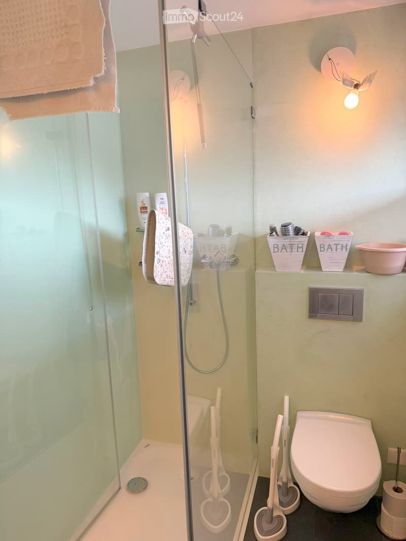 Modern bathroom with a glass-enclosed shower, toilet, and various bathroom accessories neatly arranged on a shelf.