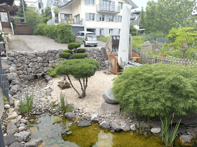 A serene garden with a small pond, stone pathways, and various plants, including a small tree and shrubs, surrounded by a stone wall and a wooden fence.