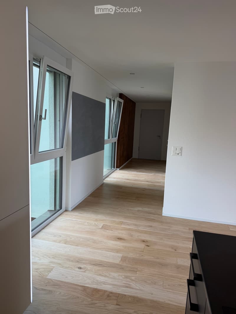 Modern hallway with light wooden flooring, white walls, and large windows allowing natural light. Features a door at the end and a partially visible black cabinet on the right side.