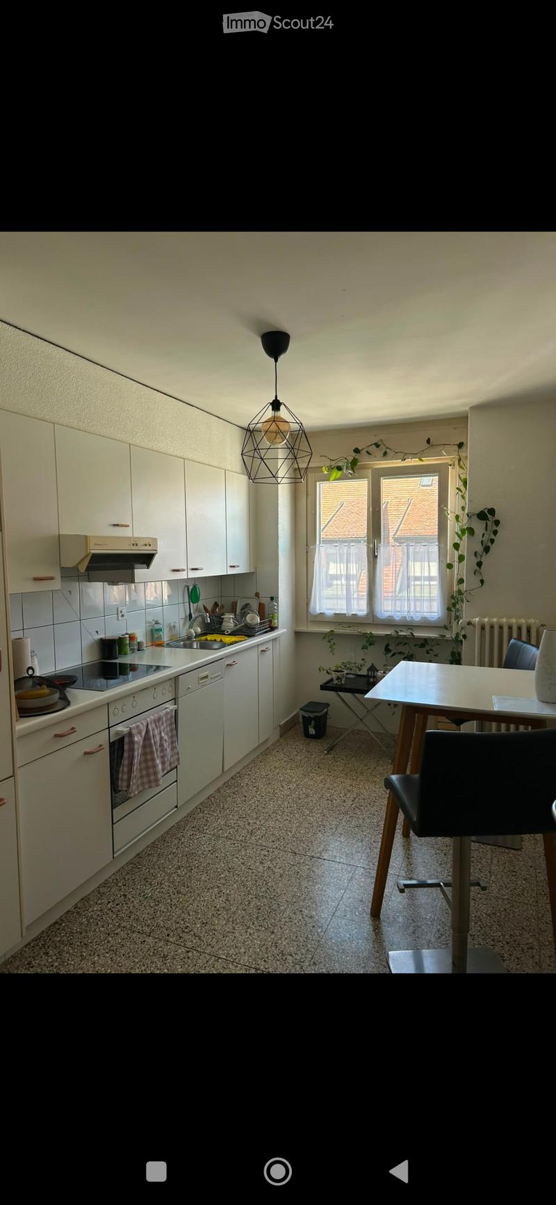 The kitchen features white cabinets, a built-in oven, a dishwasher, a sink with a faucet, and a dining area with a table and chairs. There is a hanging lamp, a small plant, and a radiator visible.
