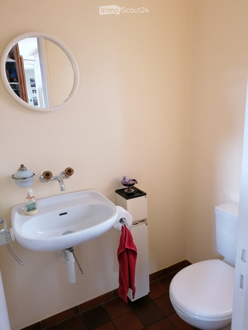Bathroom with a white sink, mirror, toilet, and a red towel hanging on a rack. The sink has a modern faucet and a soap dispenser nearby.