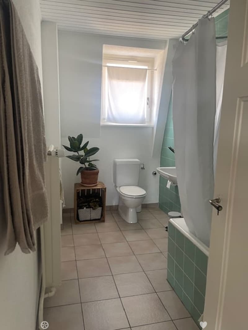Bright bathroom with white walls, tiled floor, toilet, sink, bathtub with green tiles, and a small plant on a wooden shelf.