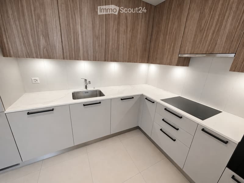Modern kitchen with white cabinets, marble countertops, stainless steel sink, and induction cooktop.