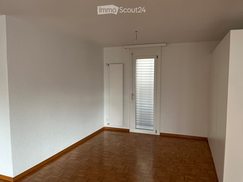 Empty room with wooden parquet flooring, white walls, a white radiator, and a white sliding door with frosted glass panels.