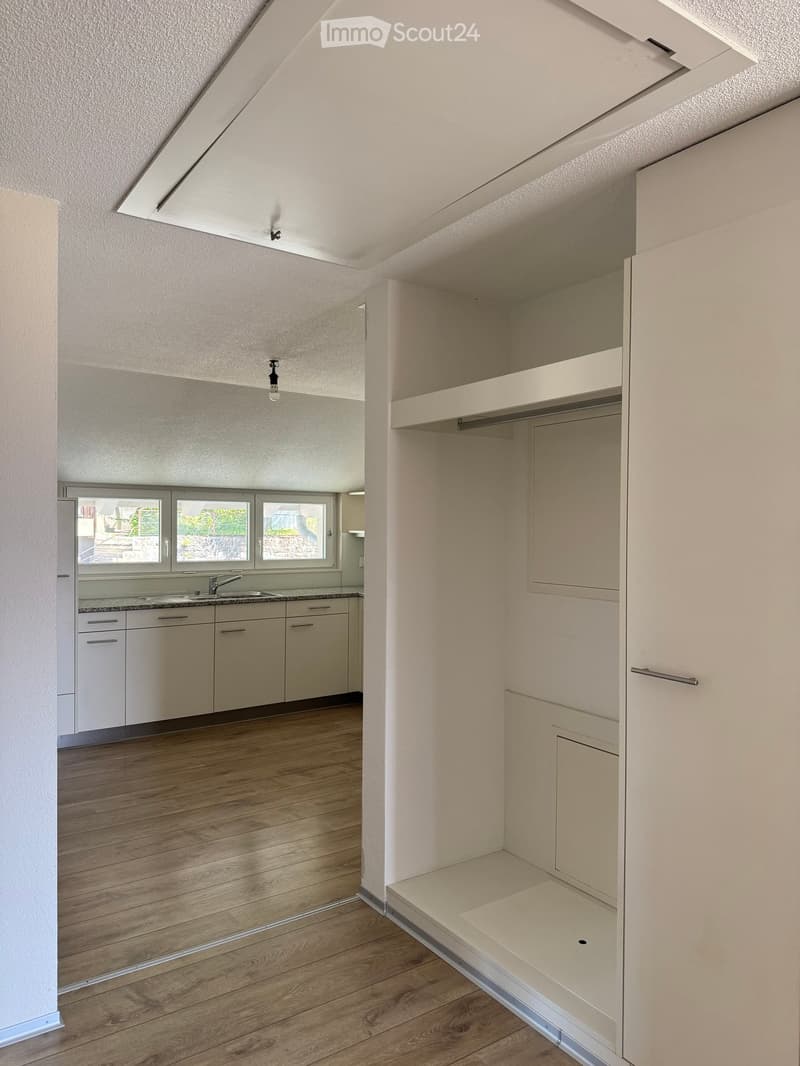 Empty room with wooden flooring, white walls, and built-in cabinets. The room features a small closet with open shelving and a closed storage compartment.