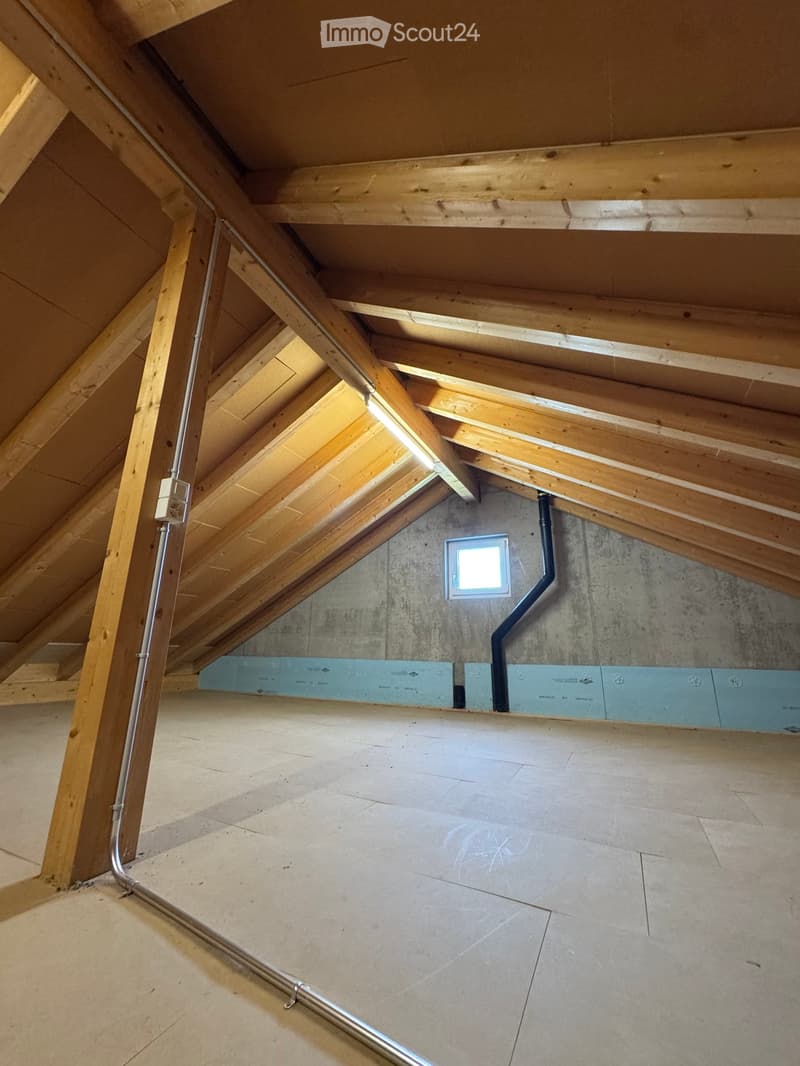 Empty attic space with wooden beams, concrete walls, and a skylight window. Exposed wooden beams and insulation panels are visible.