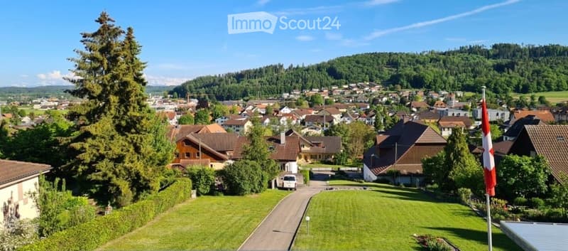 Panoramic view of a residential area with houses, trees, and a clear blue sky. The foreground shows a well-maintained lawn and driveway leading to a parked van.