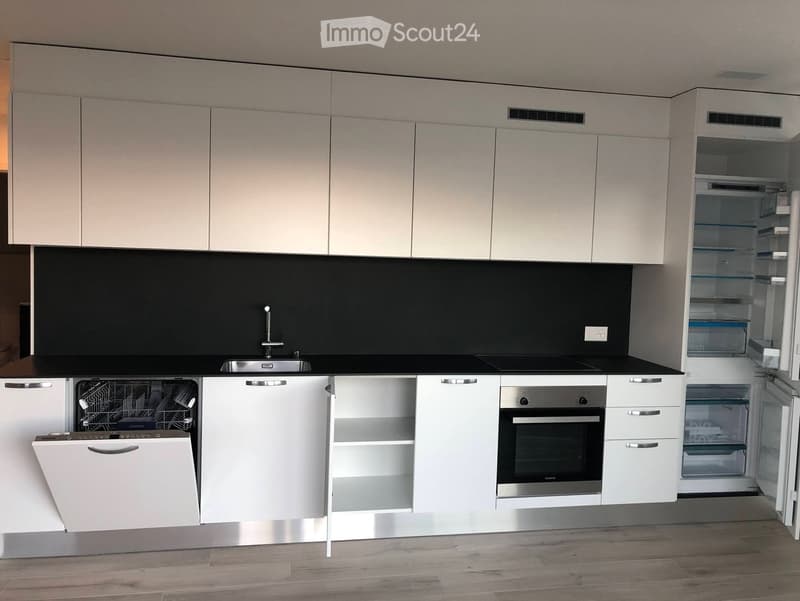 Modern kitchen with white cabinets, black countertops, stainless steel appliances, and a sleek design.