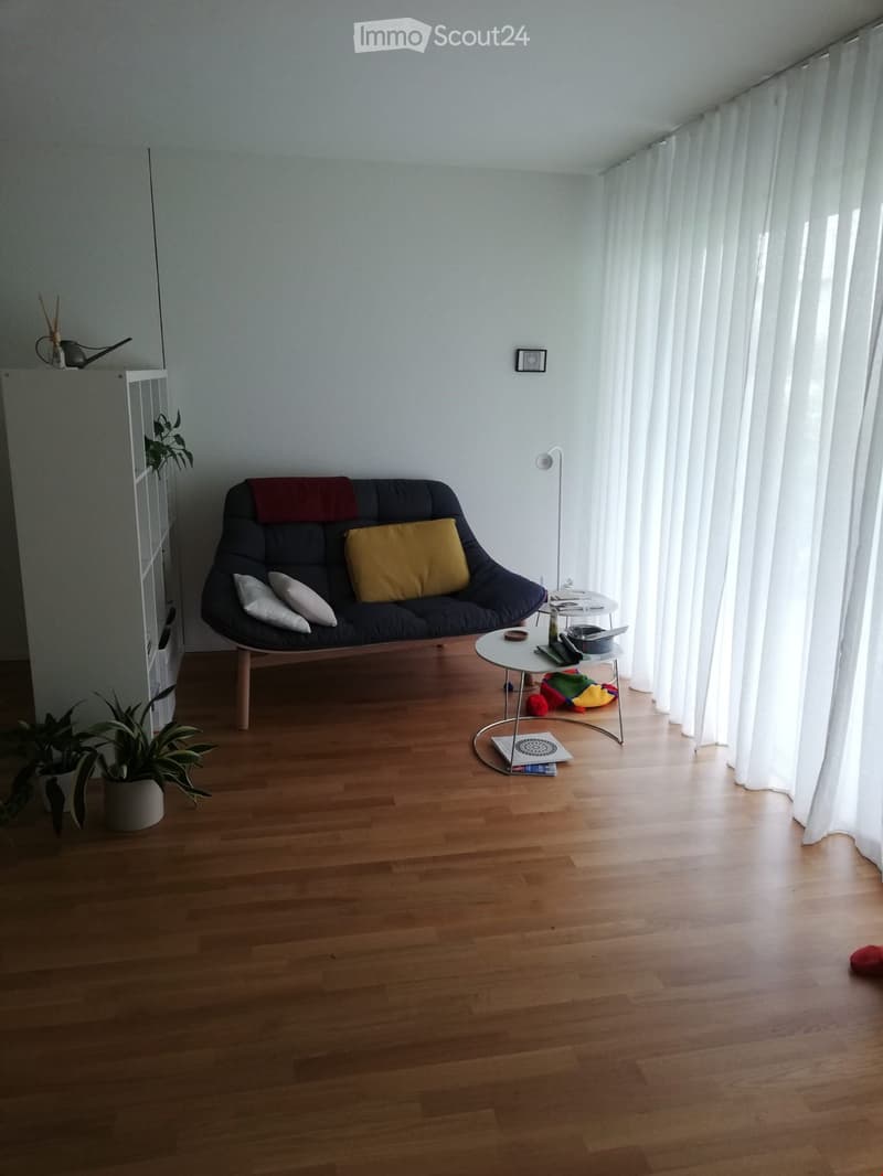 A couch with pillows, a table with books and a plant