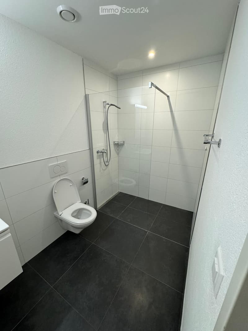 white ceramic tiles, white toilet, glass walk-in shower, shower head, floor drain, metal handrails
