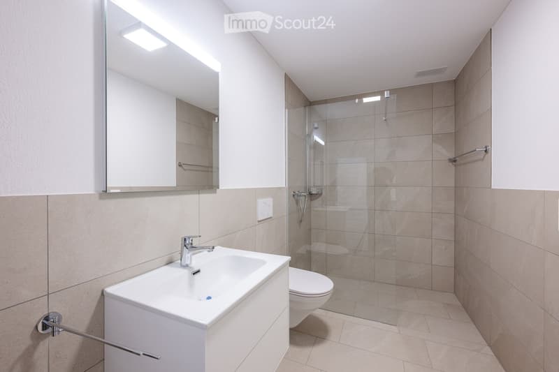 Modern bathroom with a white sink, chrome faucet, large mirror, toilet, and a glass-enclosed shower with a modern showerhead and towel rack.