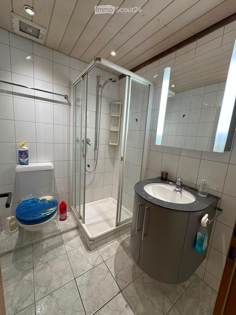 Modern bathroom with a toilet, sink, and walk-in shower. Features include a blue toilet seat cover, a glass shower enclosure, and a built-in sink cabinet.