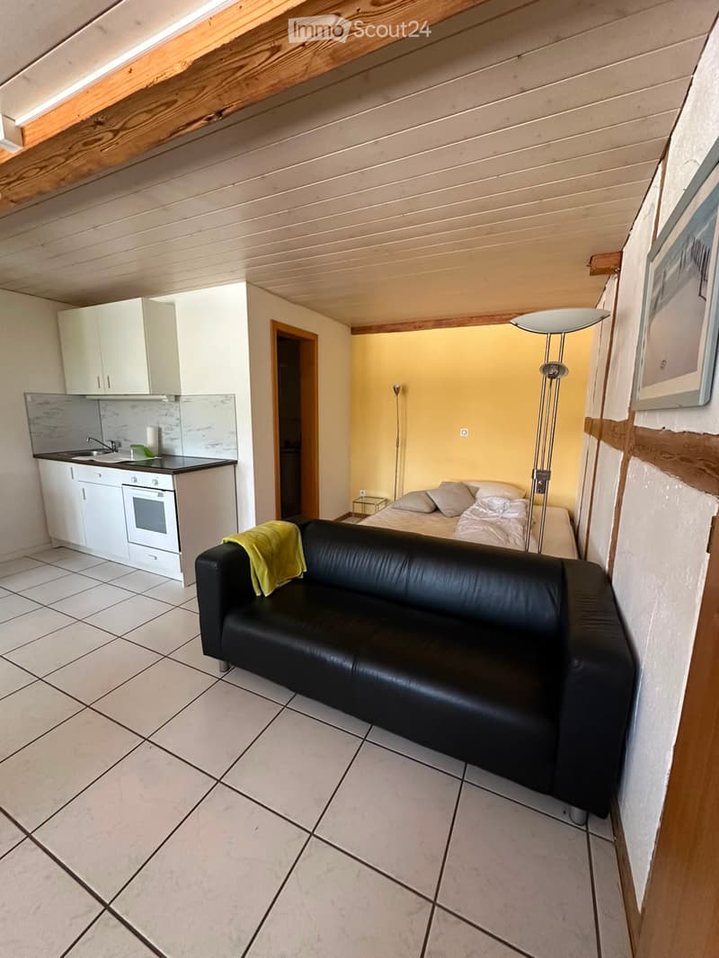 A modern, open-concept living space with a black leather sofa, a bed with pillows and blankets, a small kitchen area with white cabinets, an oven, and a sink, and a tall floor lamp near the bed.