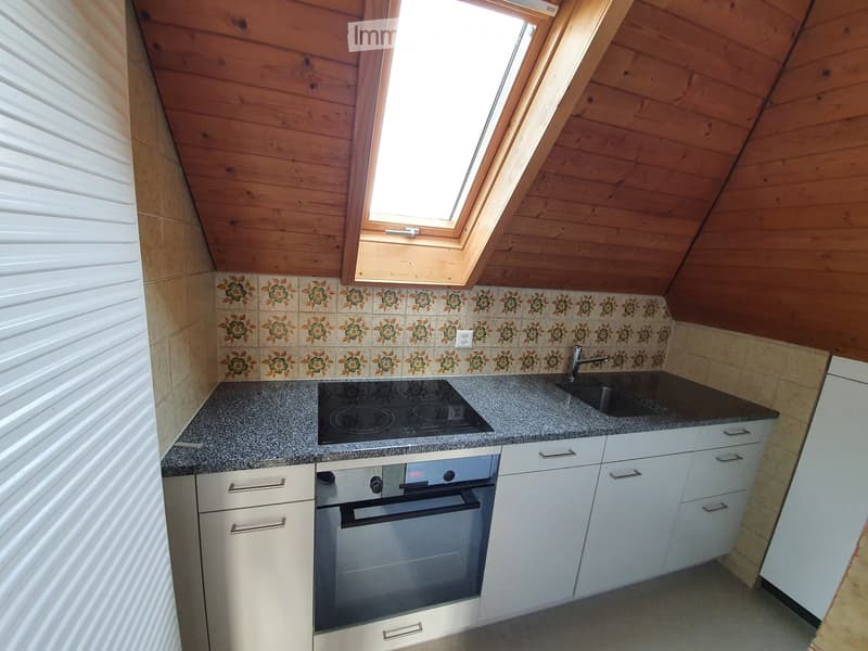 Compact kitchen with white cabinets, granite countertop, induction stove, oven, and sink. Features a skylight window and floral backsplash.
