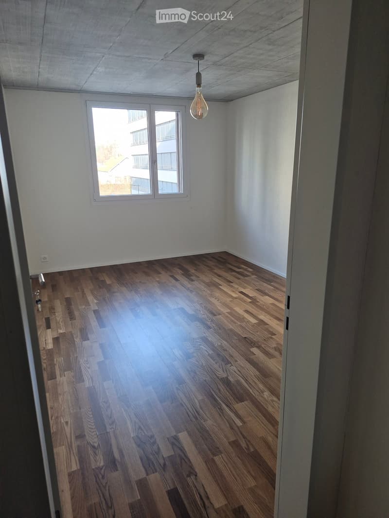Empty room, wooden floor, white walls, single window, single door, single ceiling light.