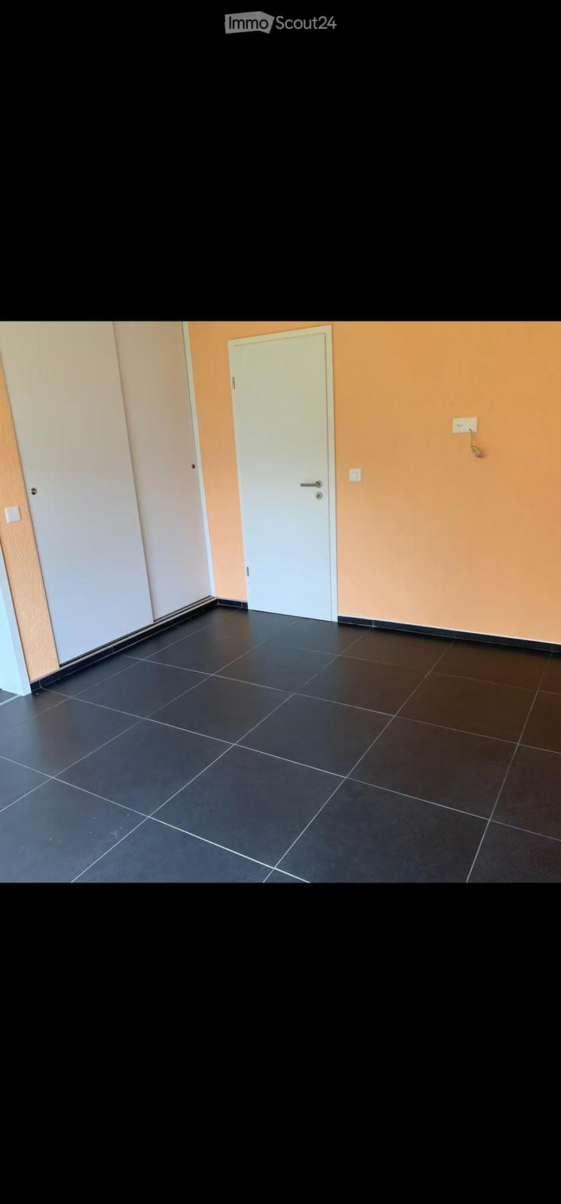 Empty room with black tiled floor, white door, and light switches on the wall.