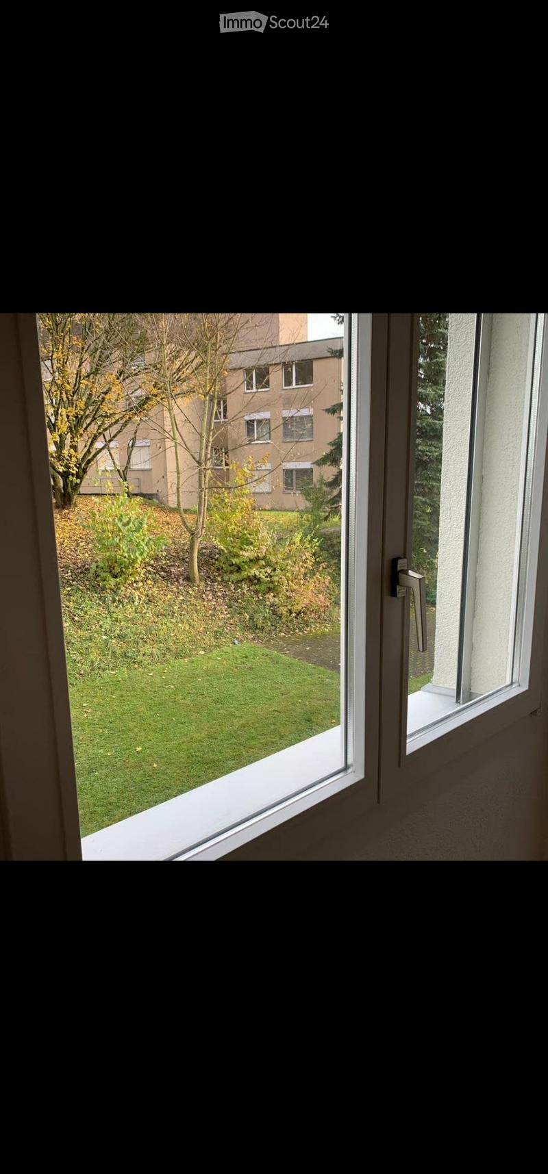 View from a window showing a grassy area, trees, and a neighboring building.