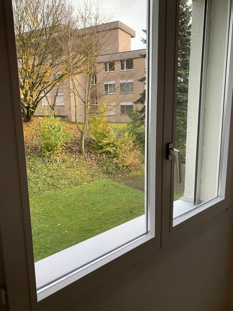 View from a window showing a grassy area, small garden, and a multi-story building in the background.