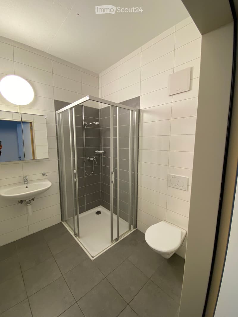 Modern bathroom with white tiles, a glass-enclosed shower stall, a sink with a mirror, and a toilet. The shower features a handheld showerhead and a built-in seat.