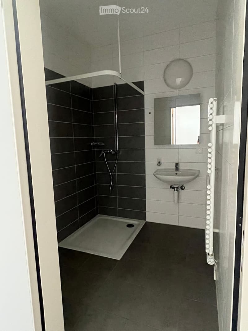 small bathroom with shower, sink, mirror, and radiator